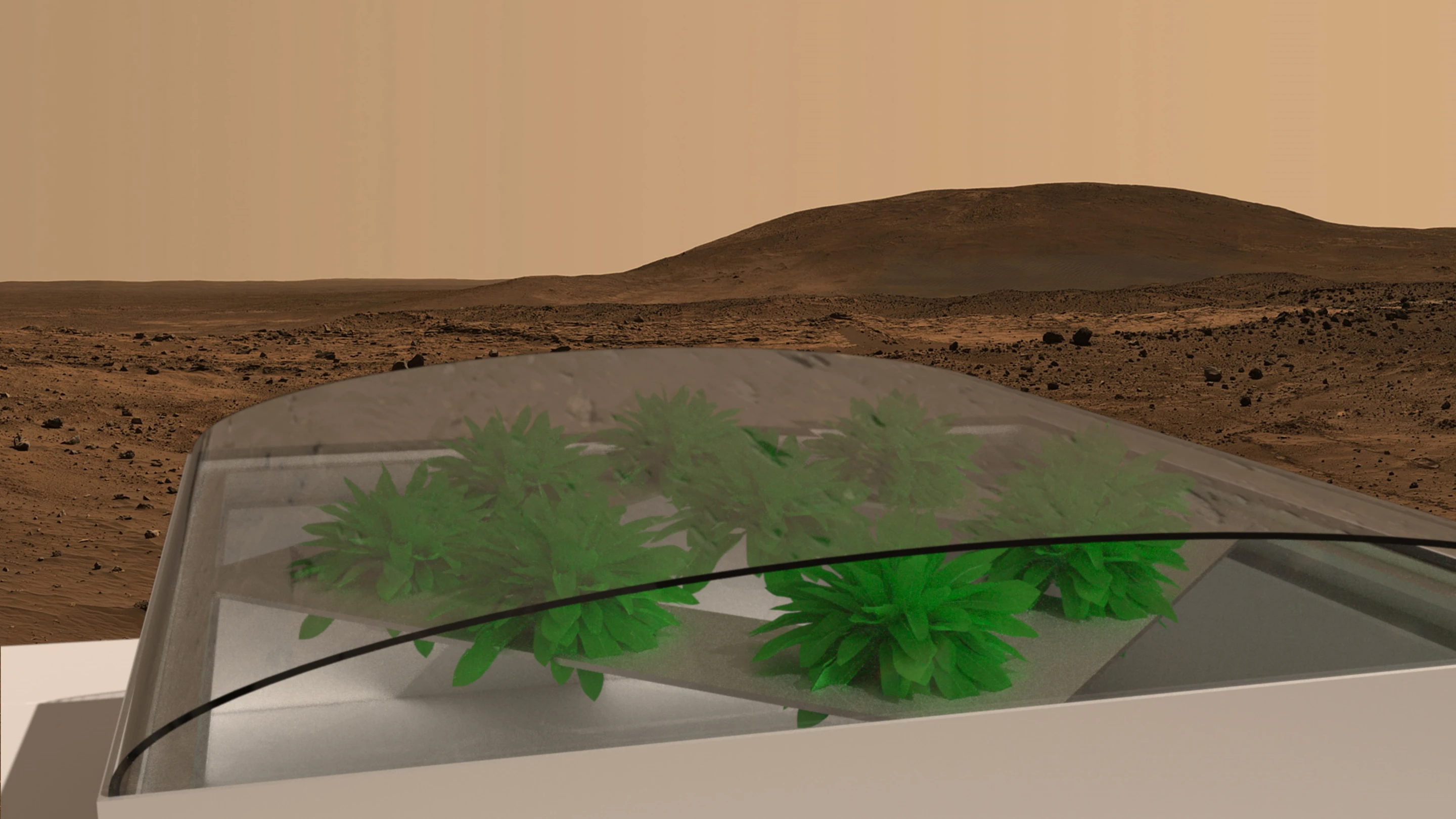 The Southampton #LettuceOnMars experiment
