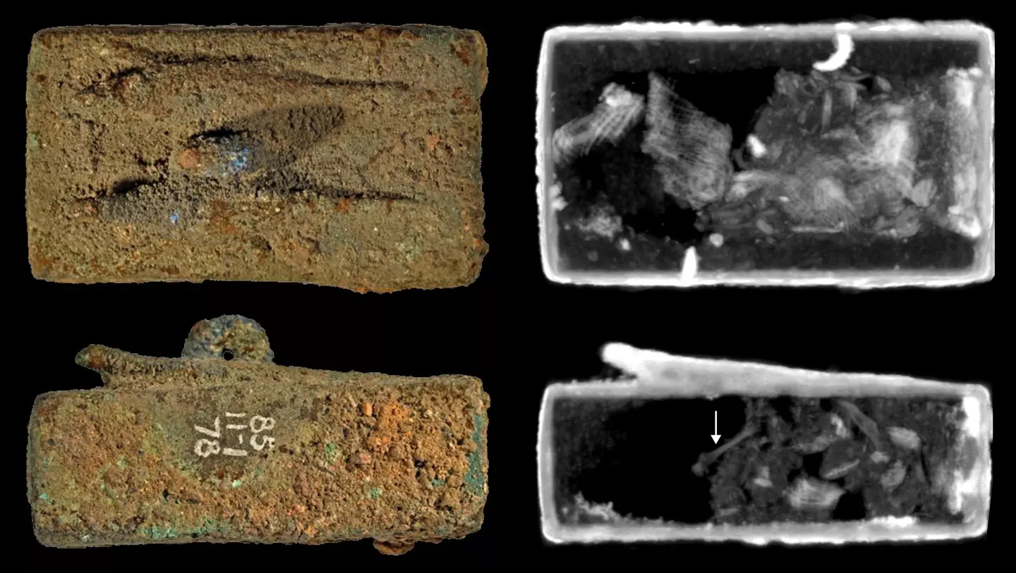 Animal coffin EA27584, surmounted by two lizard figures (top and side view). Neutron imaging shows textile wrappings and an 8 mm-long bone (arrow)