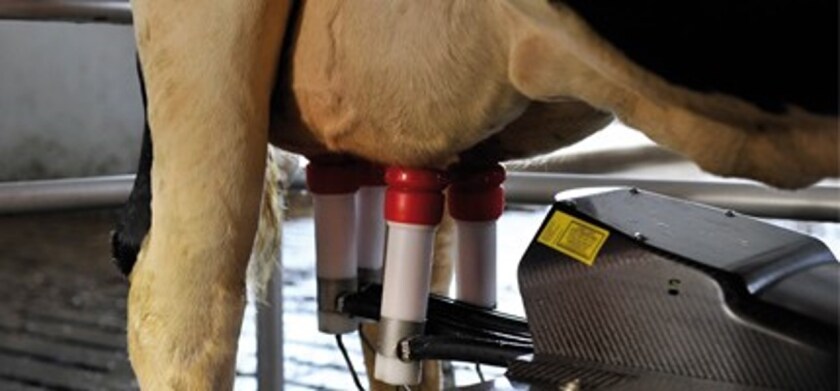The Astronaut 4 robotic arm uses lasers and a 3D camera to attach the teat cups
