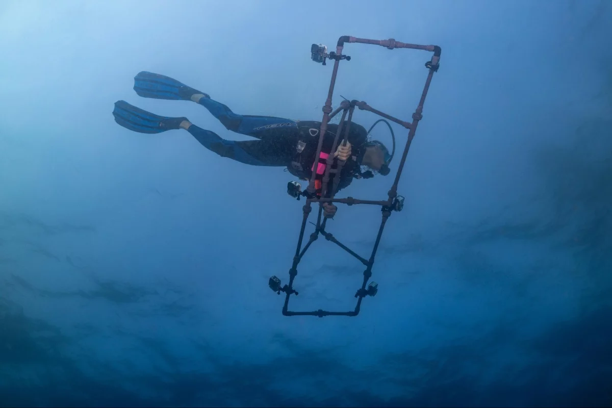 A DeepReefMap-using scientist with a six-camera setup – the system does work with even just a single camera