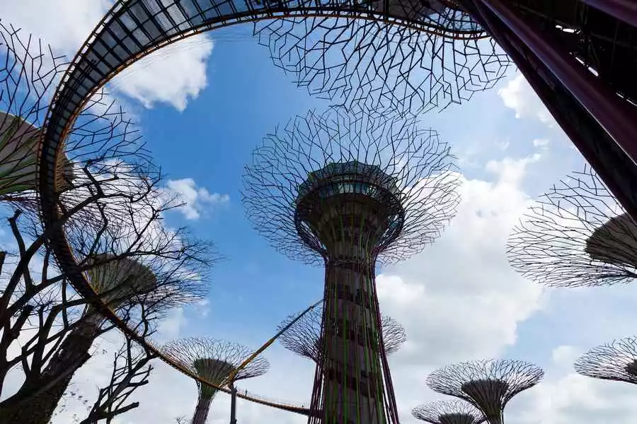 Magic Trees in the Gardens by the Bay, Singapore