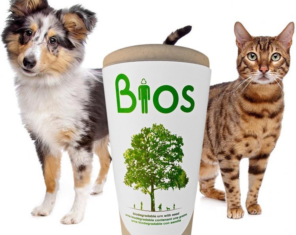 The Bios Urn for Pets allows your pet to live on after death, in the form of a plant