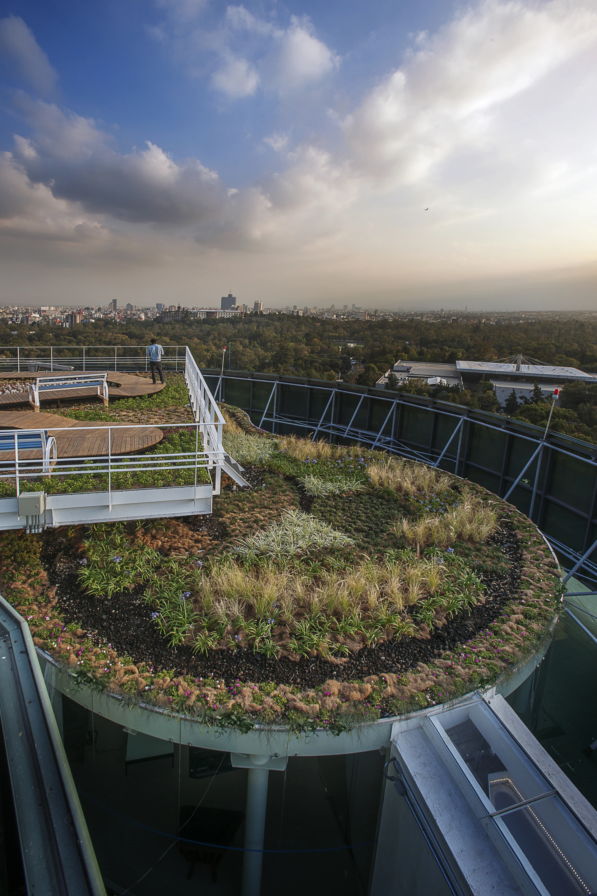 A disused helipad has been converted into a rooftop garden and customizable office space (Credit: Jaime Navarro; Courtesy Rojkind Arquitectos)