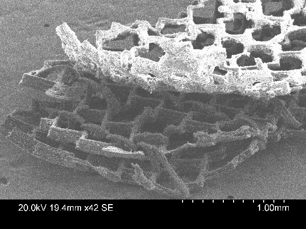 A photomicrograph that shows three sheets of the scaffold layered together