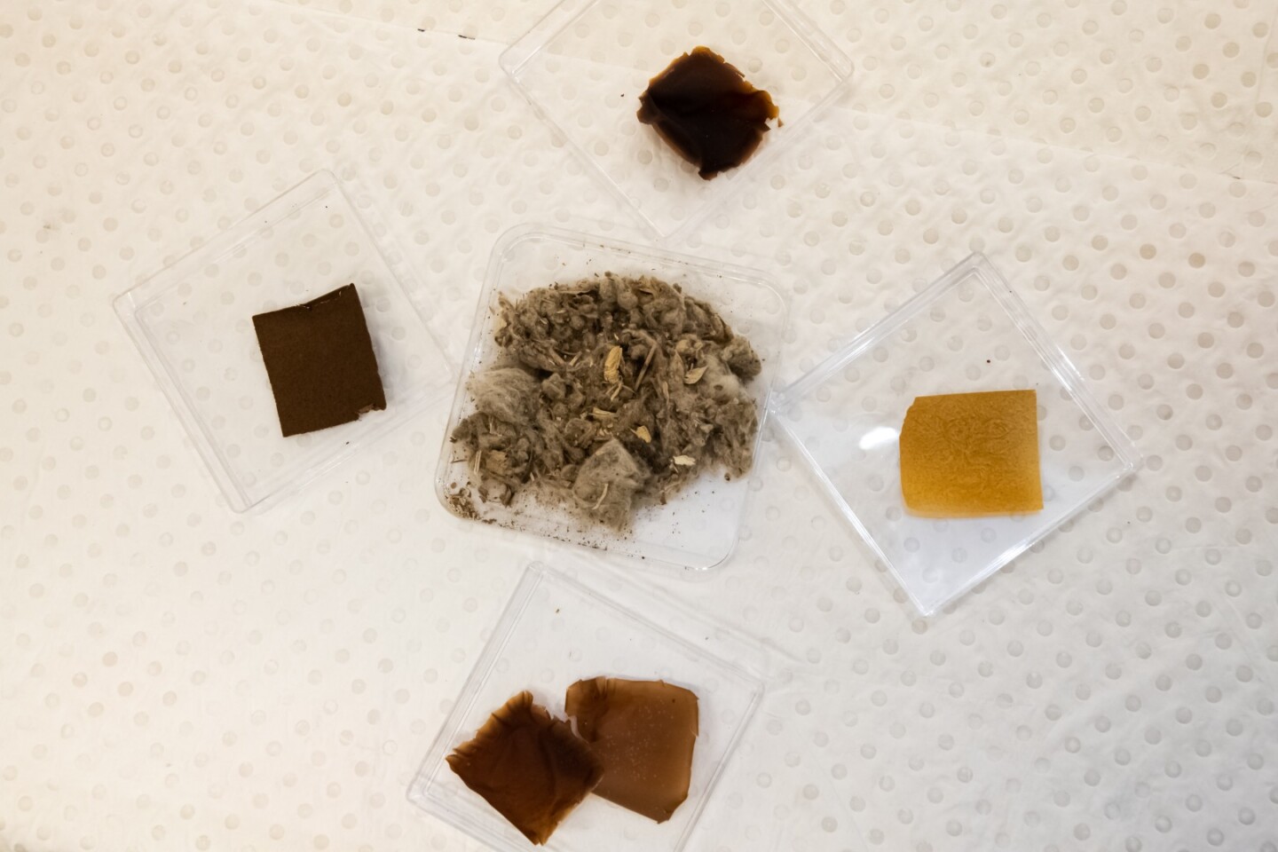 Cotton gin trash, surrounded by samples of the bioplastic