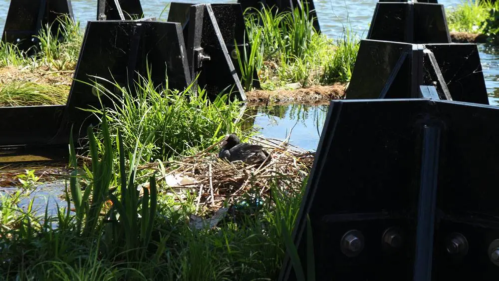 The recycled plastic blocks that make up the Recycled Park will serve as a habitat for micro and macro fauna above and below the waterline
