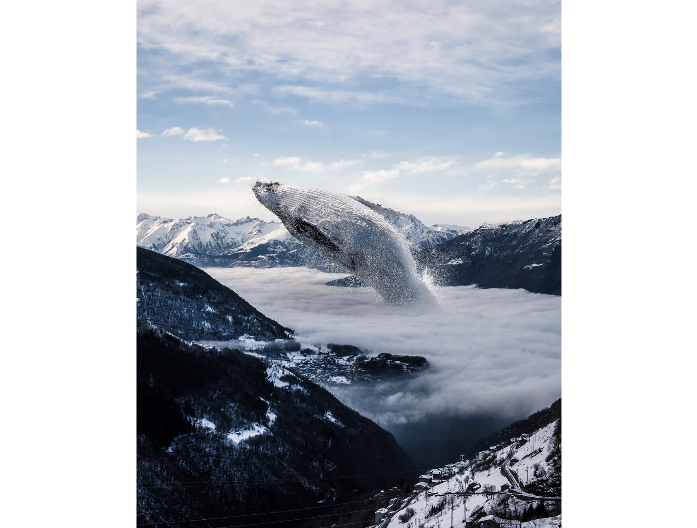 Fogwhale (Credit: Justin Peters CC BY-NC-ND 4.0)
