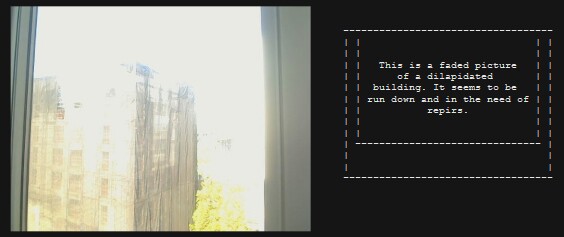 The "Descriptive Camera" works like a regular camera, but instead of displaying images, it prints out a description of the photo's content in plain English