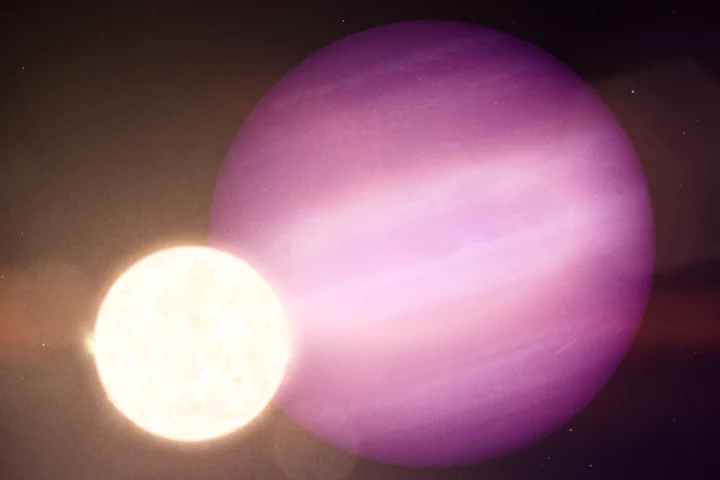 The gas giant planet WD 1856 b is seven times larger than the white dwarf star it orbits