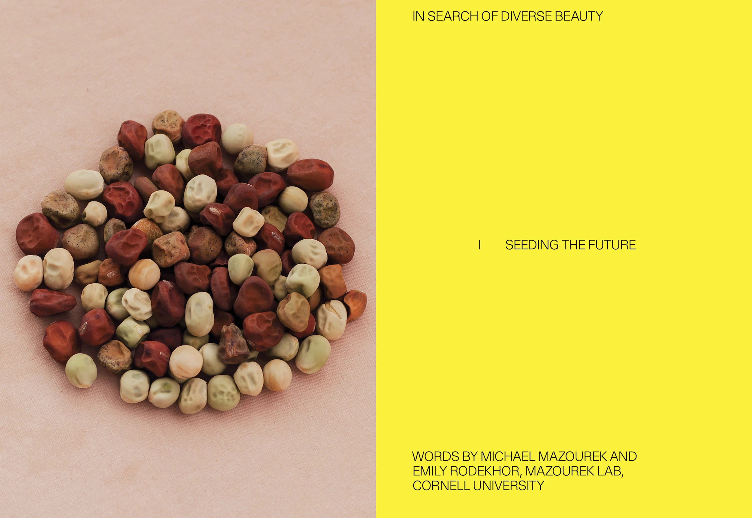 MOLD Magazine, by LinYee Yuan, Johnny Drain, Eric Hu, Matthew Tsang and Jena Myung, is shortlisted in the Graphics category. It's a food magazine with a bold graphic style