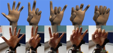 A real hand and Digits representation