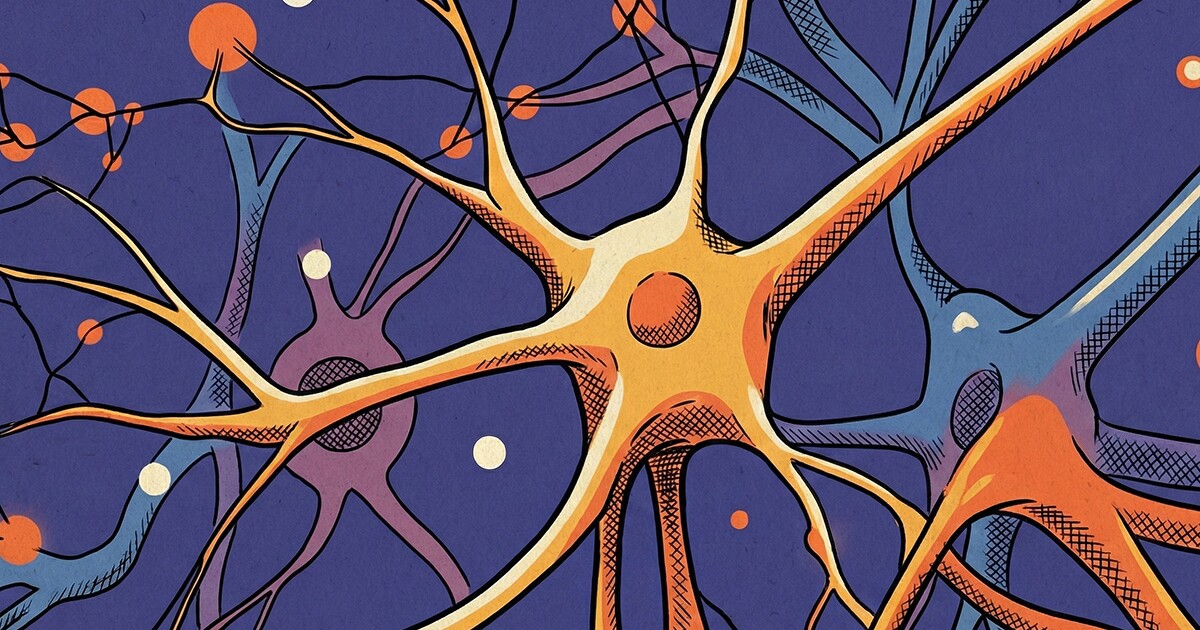 A newly discovered ‘pain switch’ in our brains could unlock safer drugs A newly discovered ‘pain switch’ in our brains could unlock safer drugs