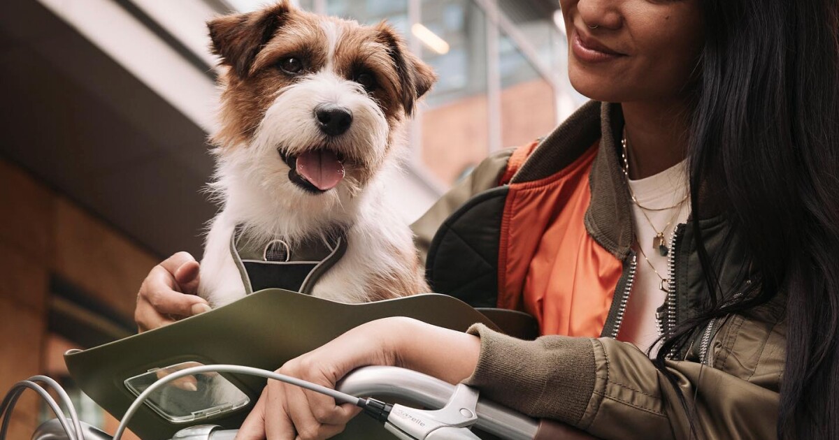 Kvisp carrier is made to get your dog on your bike Kvisp carrier is made to get your dog on your bike