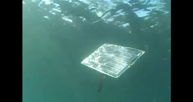 Scientists have created a solar-powered swimming underwater robot, inspired by the ocean sunfish
