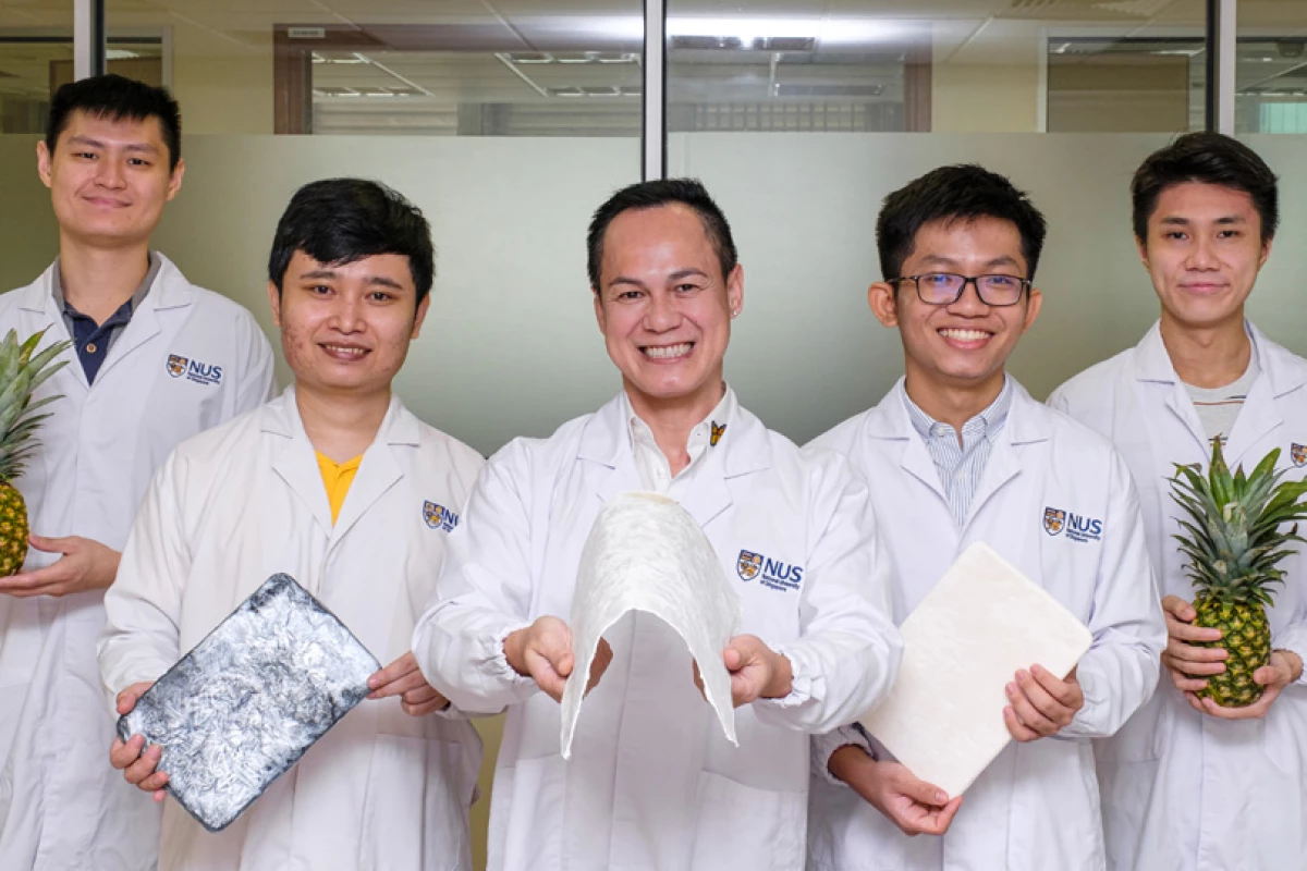 A research team at the National University of Singapore with a new aerogel made from upcycled pineapple leaves