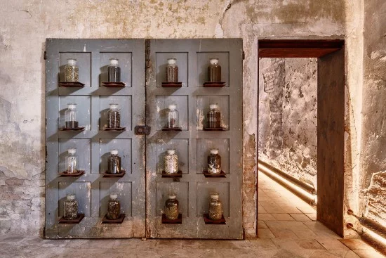 Medical preparations with dung ingredients from Pliny the Elder's Naturalis Historia