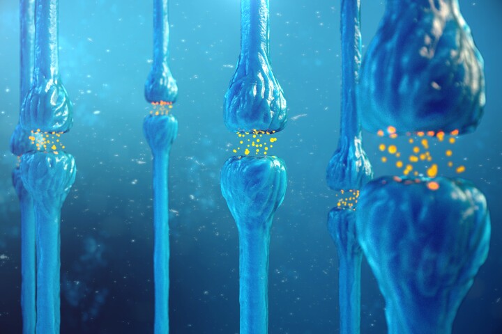 Researchers have used molecular imaging technology to confirm the role vitamin D plays in early brain cell development and the brain's production of the feel-good chemical dopamine