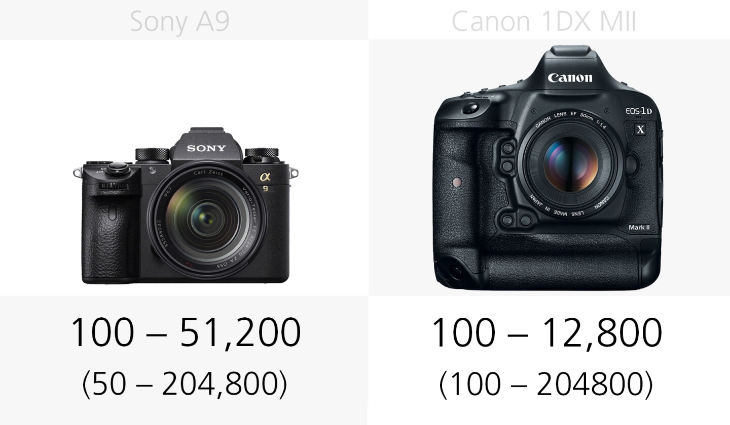 Comparing the ISO ranges of the Sony A9 and Canon 1DX Mark II
