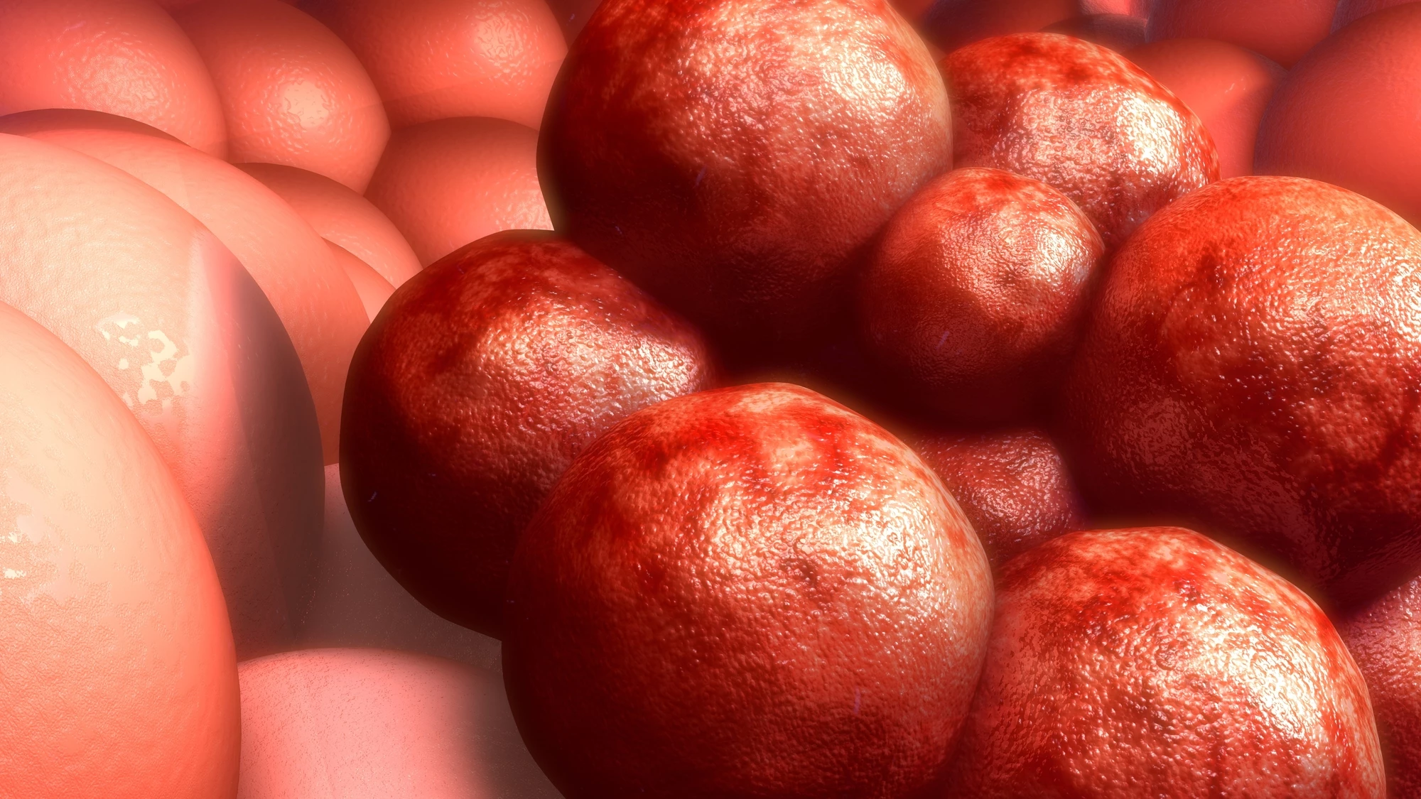 Researchers have reprogrammed immune cells that were previously hijacked by cancer to wipe out the disease
