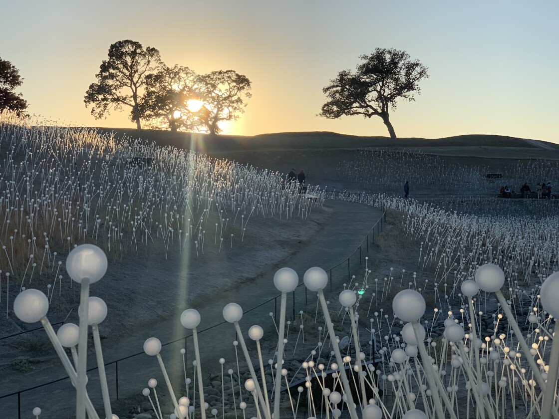 Winner Landscapes, 'Pearls'. Taken with iPhone XS