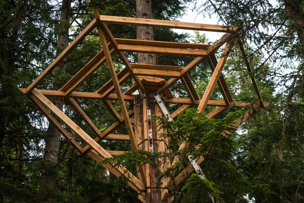 In the making of the self-designed and built treehouse (Photo: Ethan Schlussler)