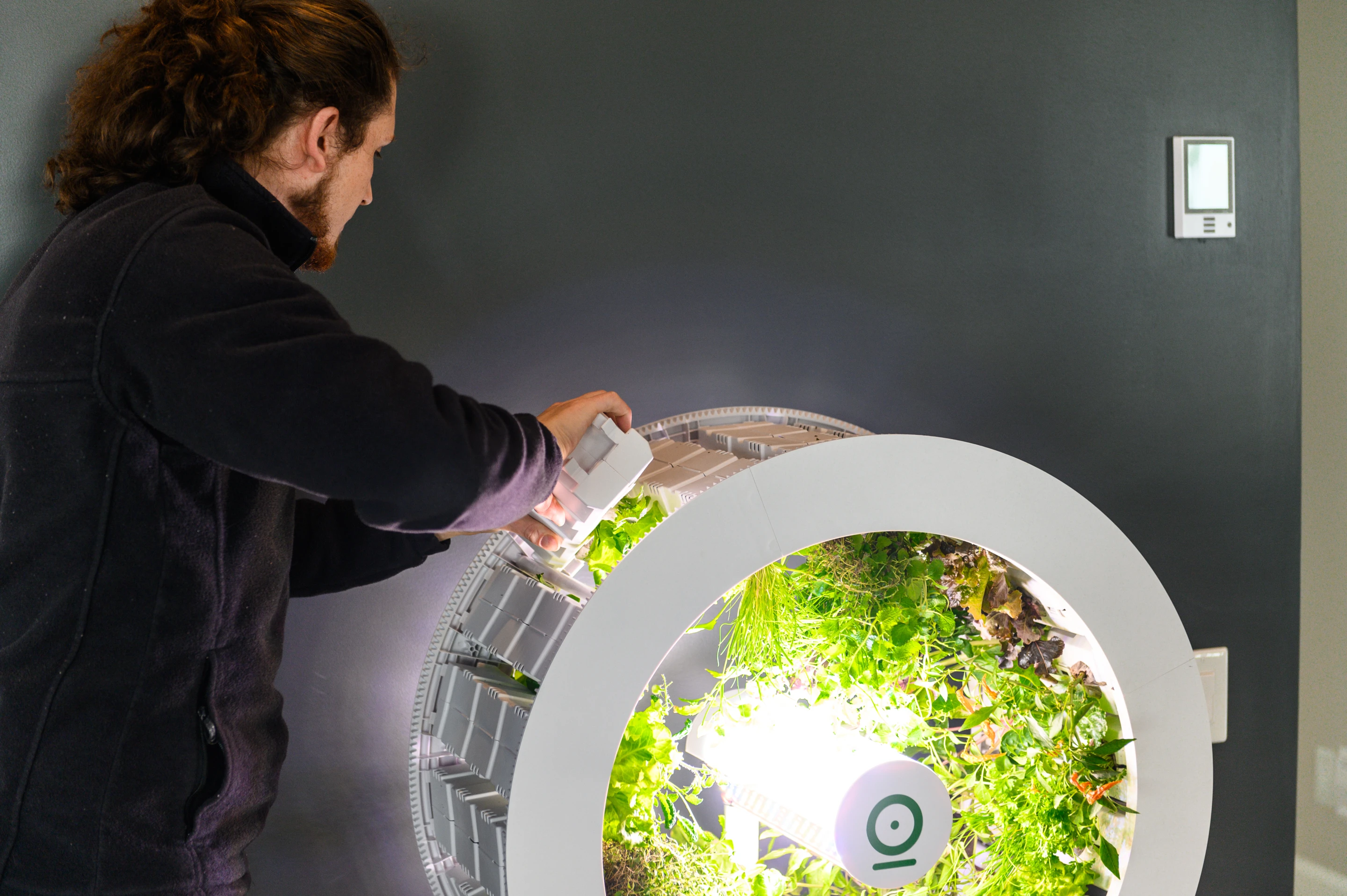 The rotating wheel at the heart of the OGarden Smart can accommodate 60 plants at any one time