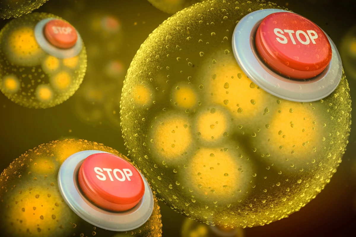 The switches operate in a similar manner, killing off the host bacteria if the correct chemicals aren't present