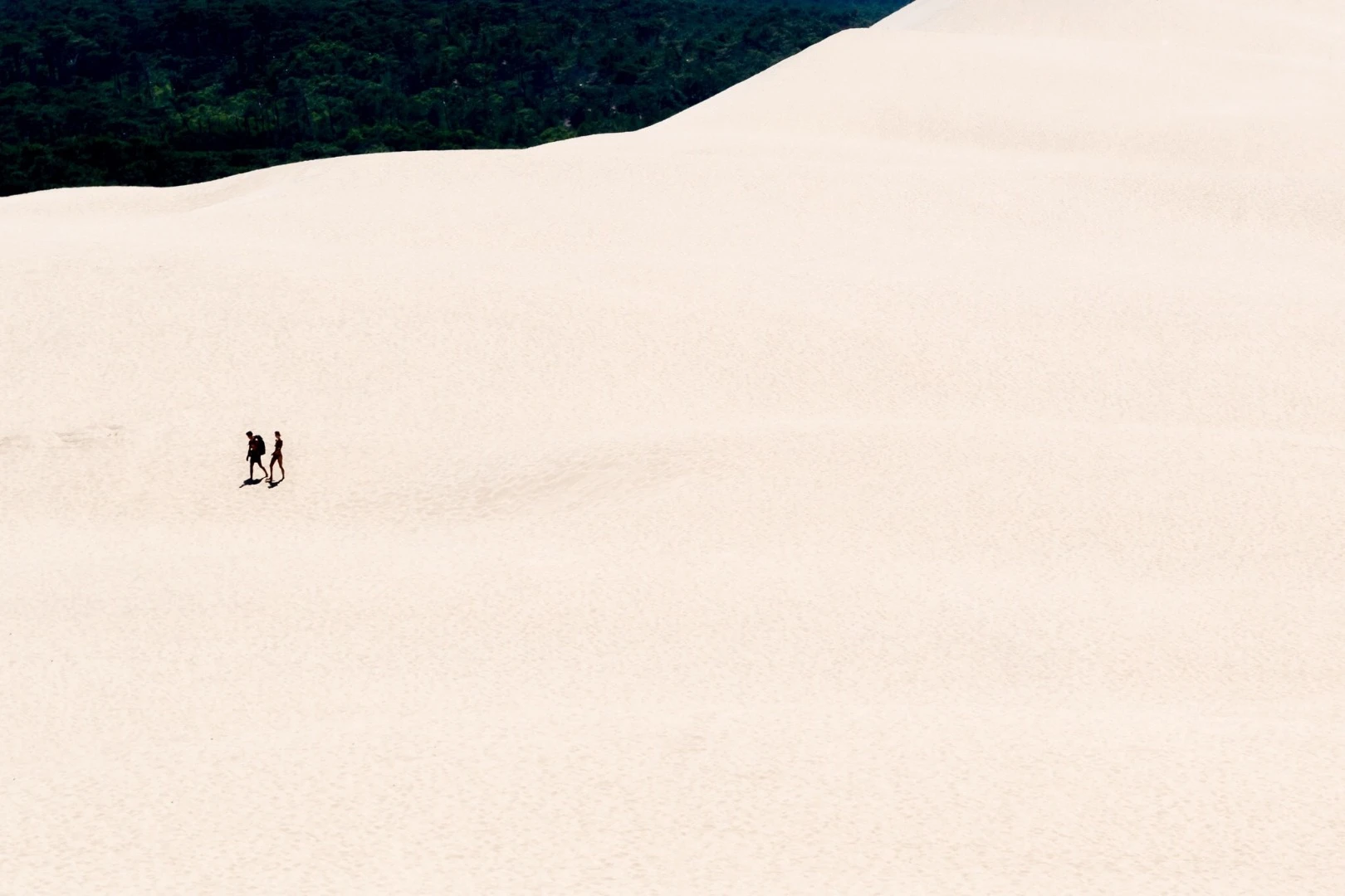 Finalist in The Great Outdoors category of the 2018 EyeEm Awards: Pylat-sur-Mer - on top of the Dune de Pilat in France