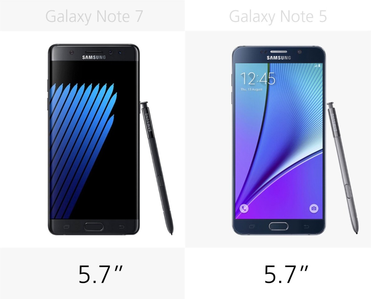 Display size