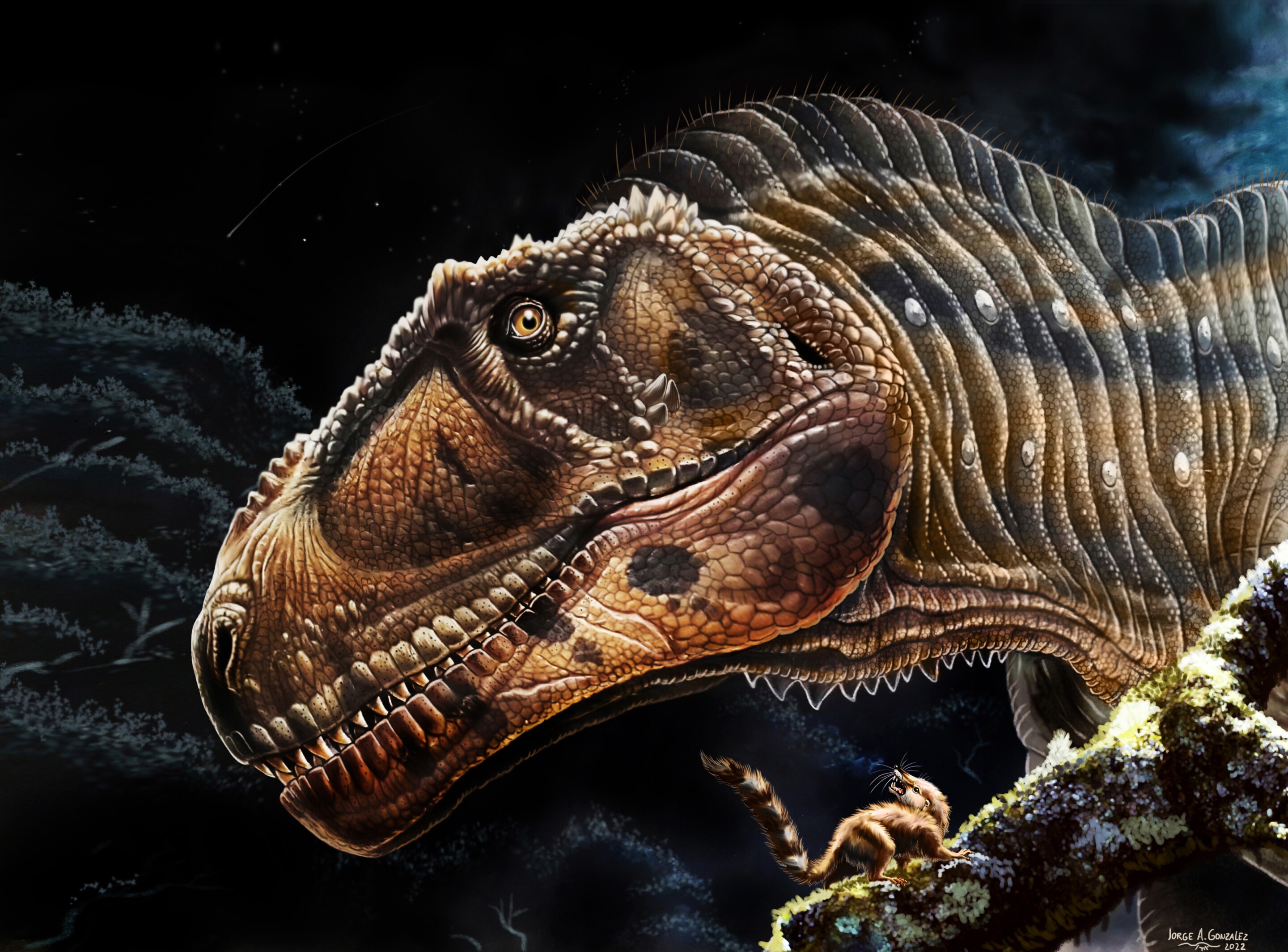Tyrannosaur, Size, Species, & Facts
