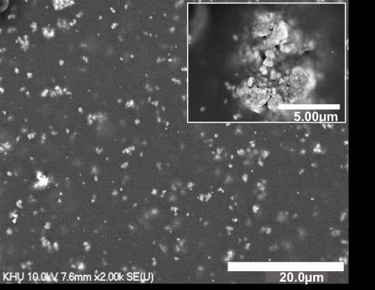 An electron microscope image of the film showing the embedded bismuth ferrite nanoparticles that give the flexible film its electric and magnetic properties (Image: YoungPak Lee/Hanyang University)