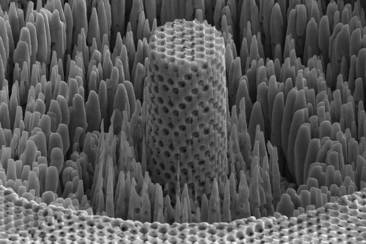 A microscopic sample of the researchers’ "metallic wood"