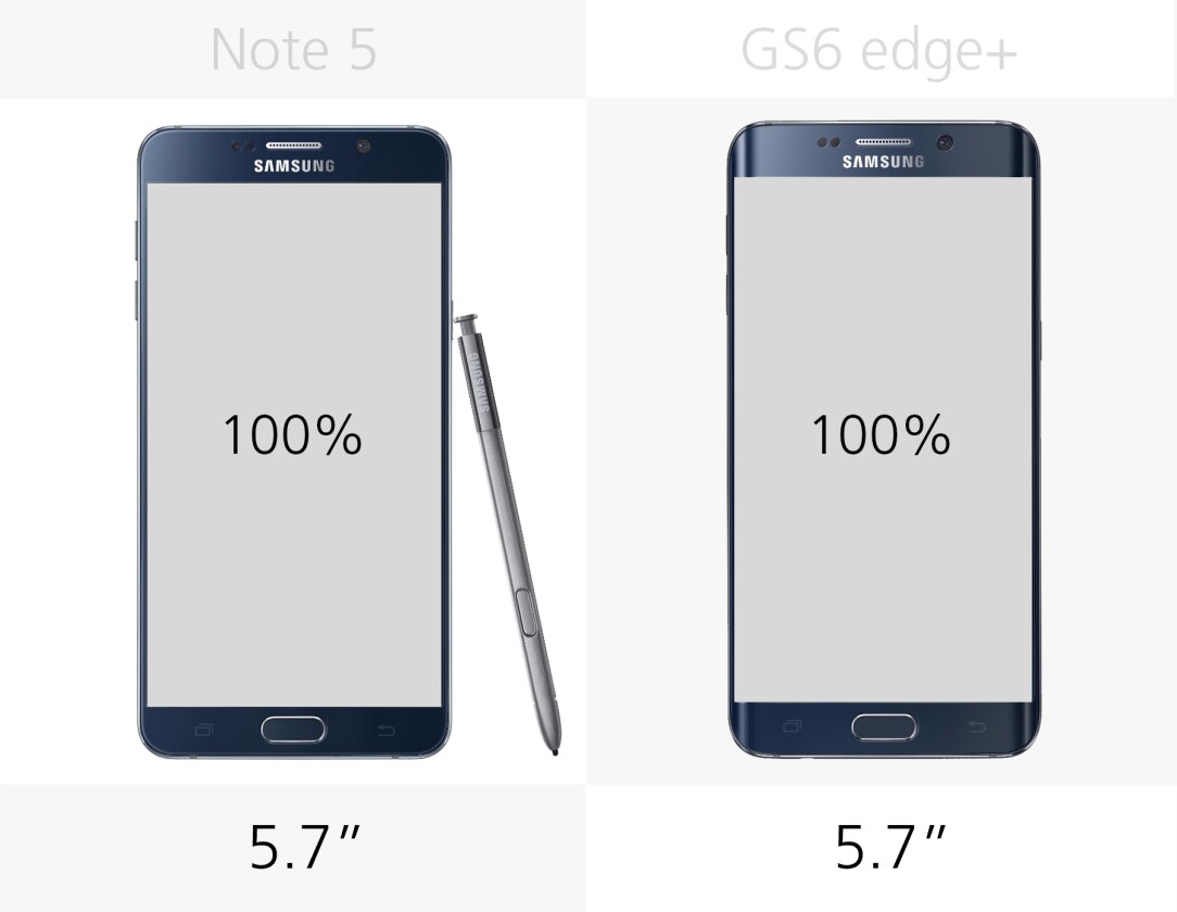 Display size