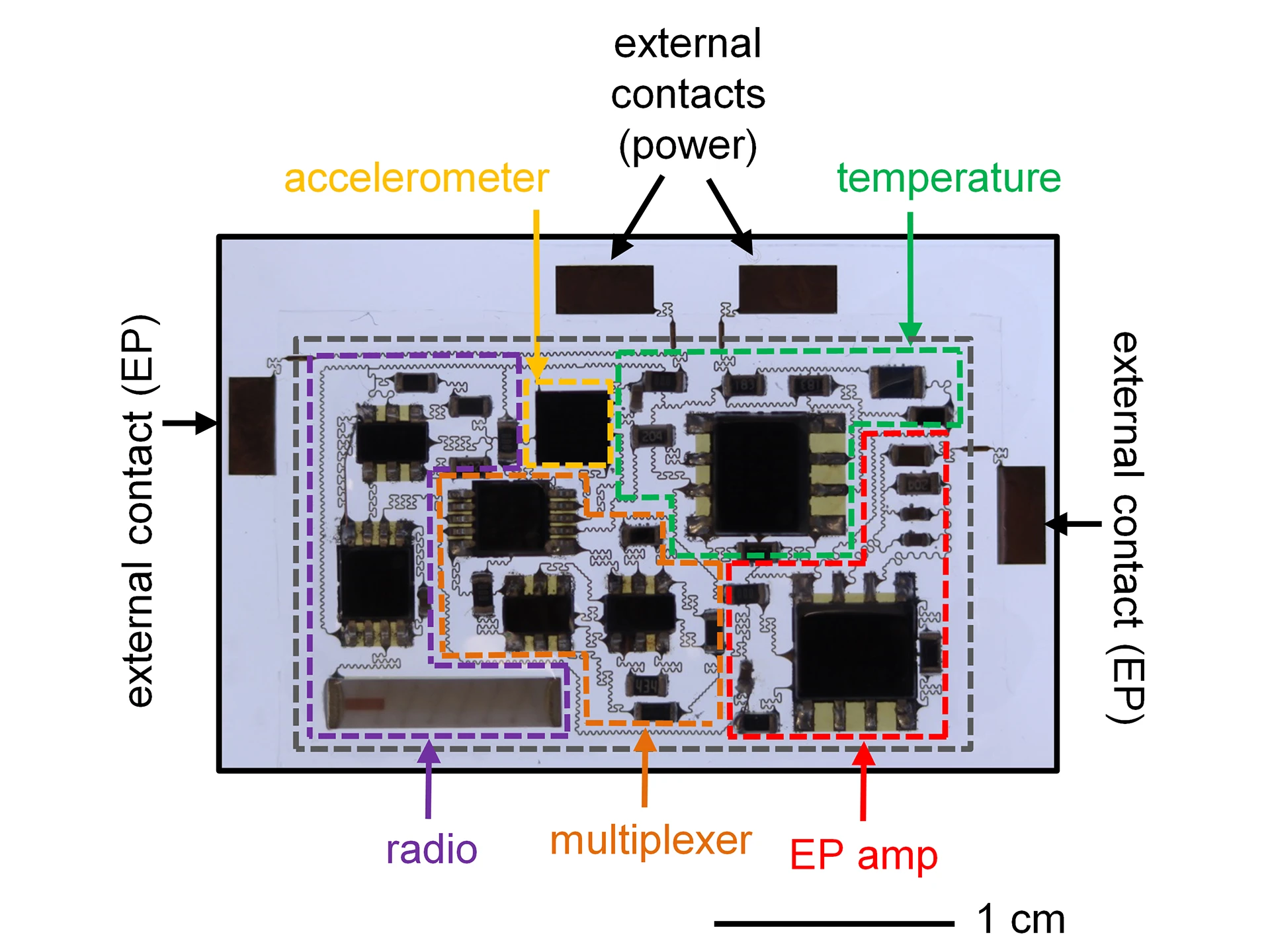 Components of the wireless stick-on patch (Photo: John A. Rogers)