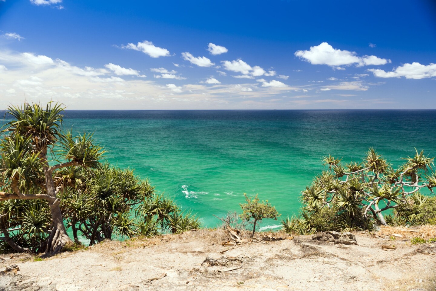 North Stradbroke is a whale-watcher's dream
