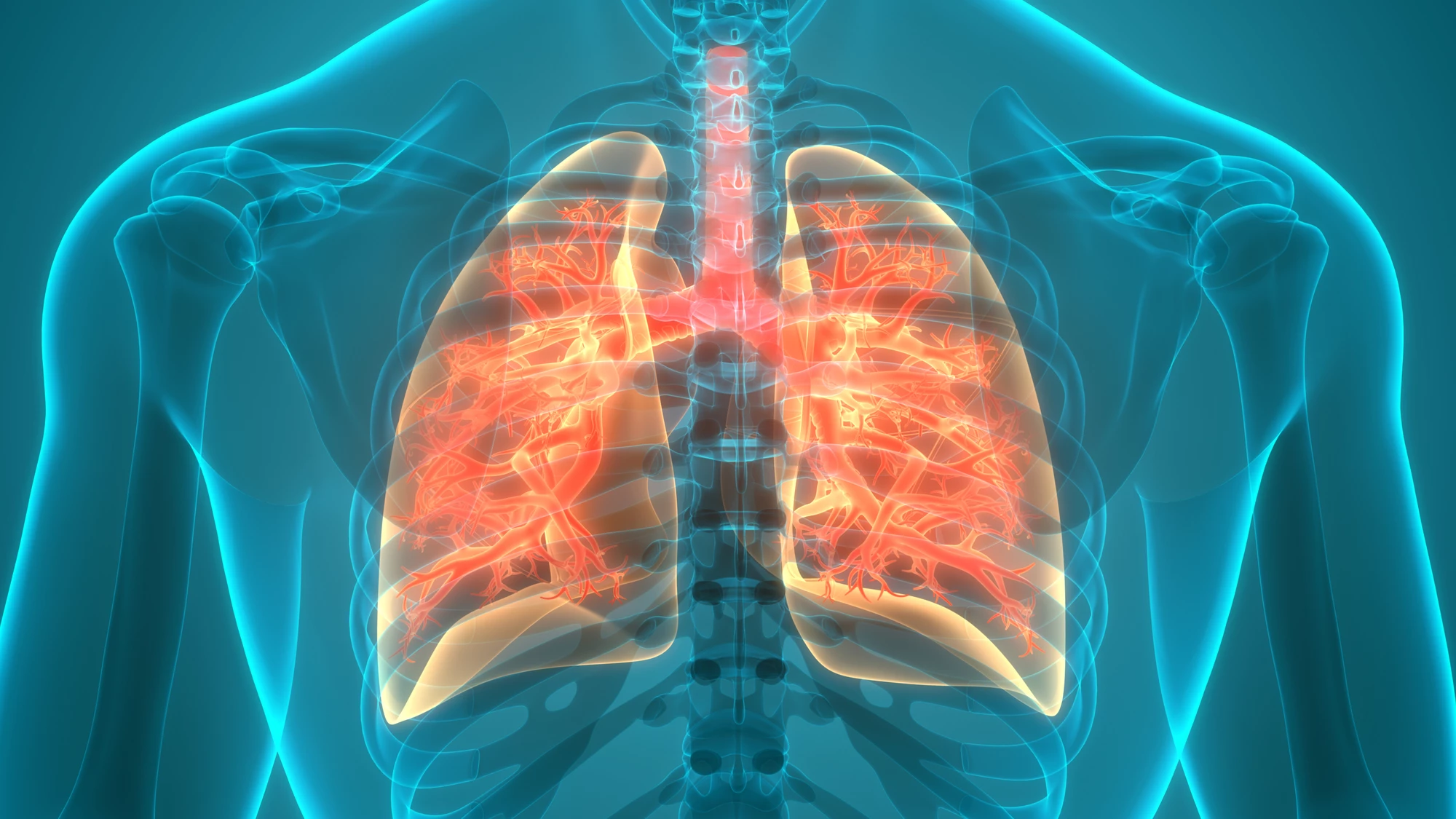 A new study is the first to investigate a link between the gut microbiome and chronic obstructive pulmonary disease (COPD)