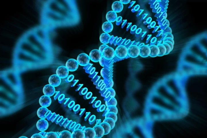 Scientists have tested chemical neurons as a way to read and manipulate data stored in DNA