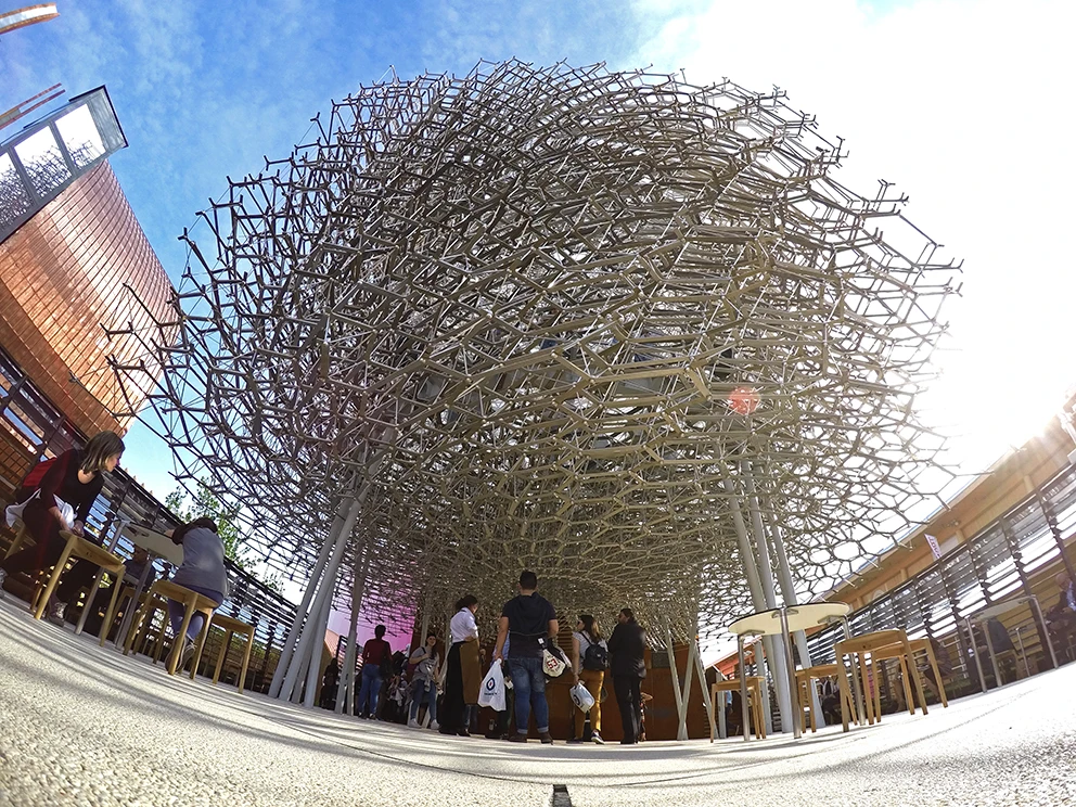 The enormous beehive structure is inspired by scientific research from bee expert Dr. Martin Bencsik