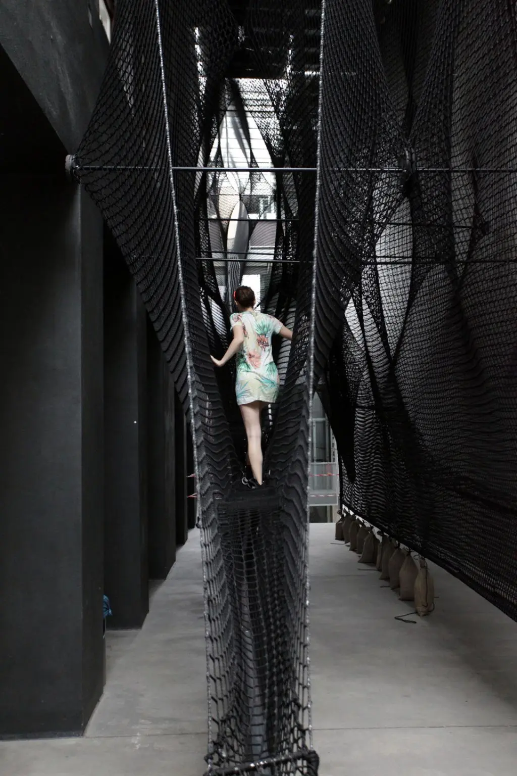 Visitors climbing Net Linz