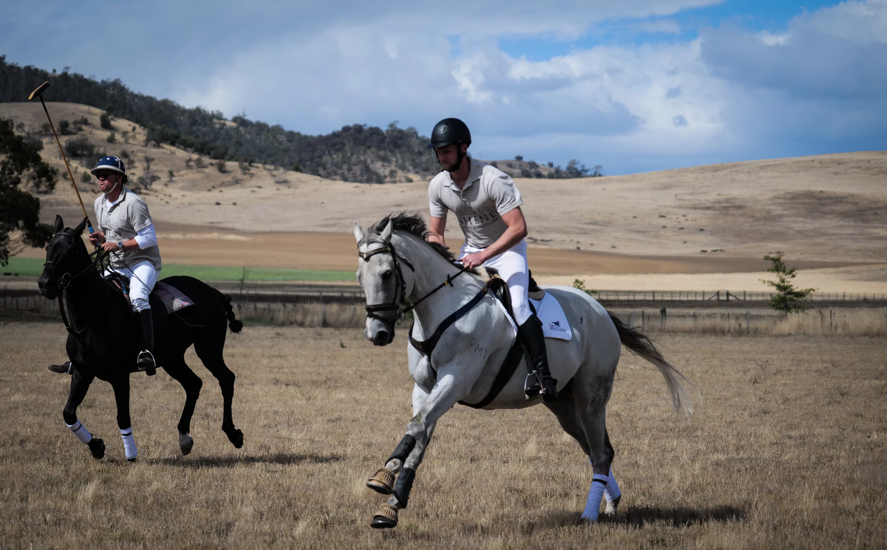 LUMIX S1R sample shot: 24-105 mm, ISO 200 f/4.0, 1/2500 sec