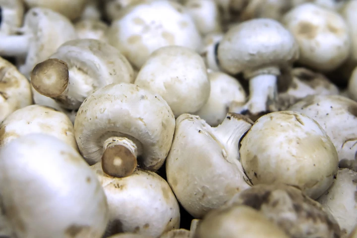 Researchers have found that mushrooms contain unusually high amounts of anti-oxidative compounds ergothioneine and glutathione