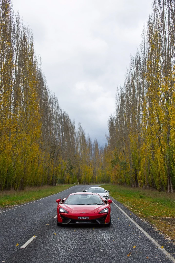 McLaren Sport series: bridges the gap nicely between commuter and supercar, if that's possible