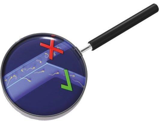 The fertility chip is able to separate motile and non-motile sperm, then count them separately