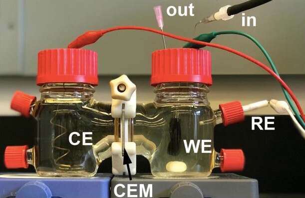 A "battery" made by tapping into the electrogenic bacteria