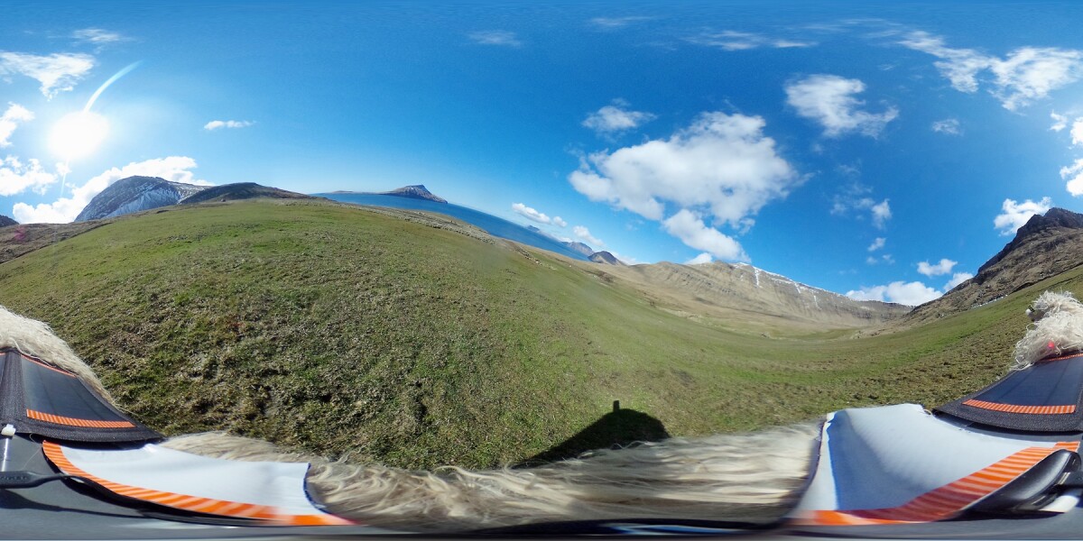 Powered by solar panels attached to the harness, the camera captures a photo every 60 seconds