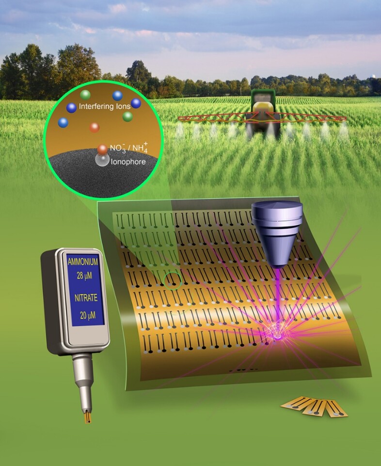 Utilizing inkjet-printed, laser-treated graphene circuits, the sensors will continuously measure nitrogen concentrations in the soil, wirelessly transmitting data to an internet-based hub that can be accessed by the farmer