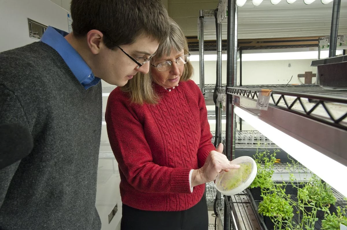 Dr. June Medford, with some of her pollutant- and explosive-sniffing plants