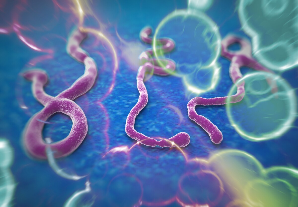 The Ebola virus has emerged as an unlikely potential ally in the fight against deadly brain cancer