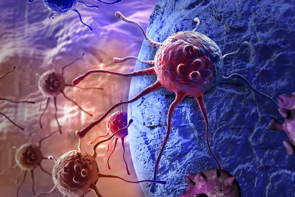 Two early-stage human clinical trials have successfully demonstrated the use of a cancer vaccine personalized to target an individual patient's tumors