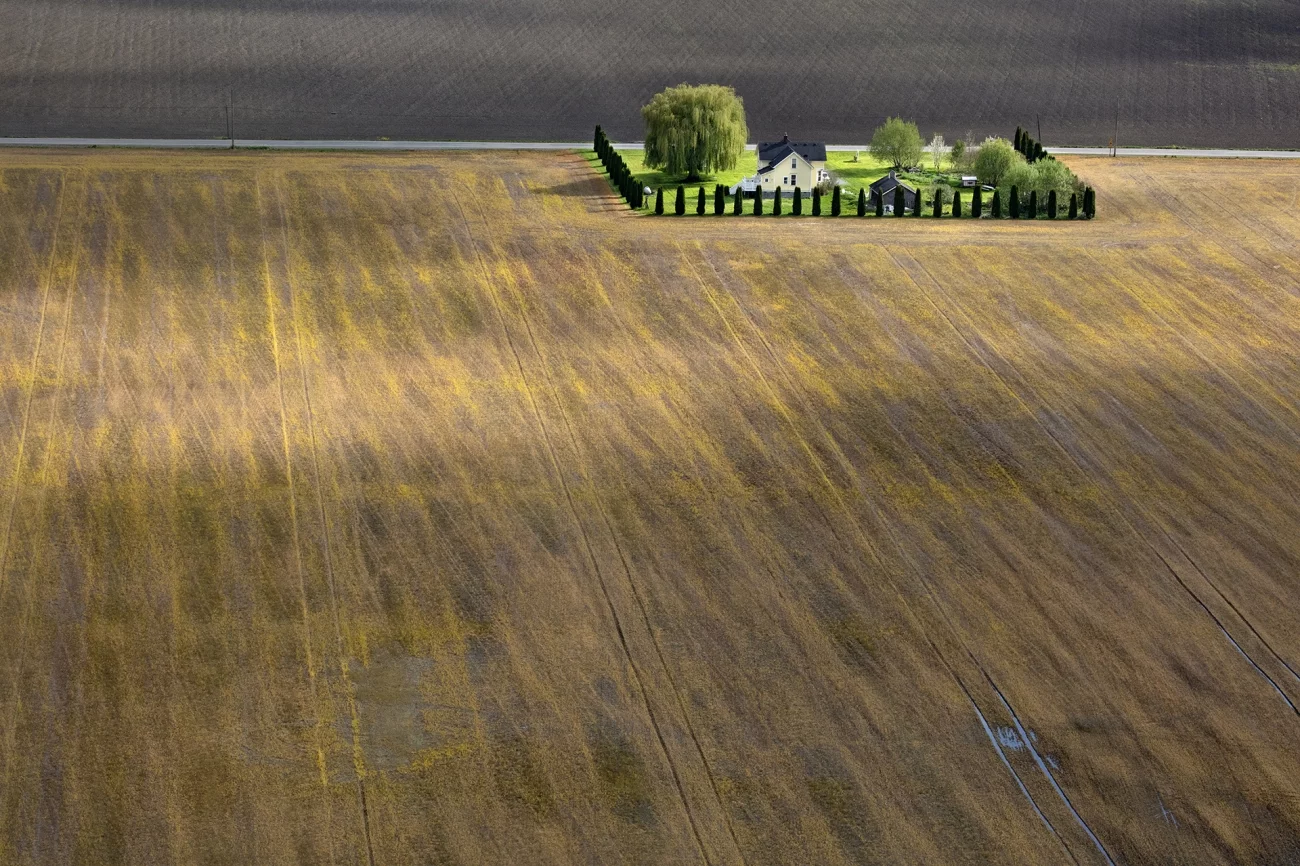 Commended in the Urban category. Farmland, taken in Mont Vernon, WA, USA